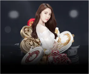 Biểu đồ minh họa các loại cookie khác nhau mà 888new7 sử dụng